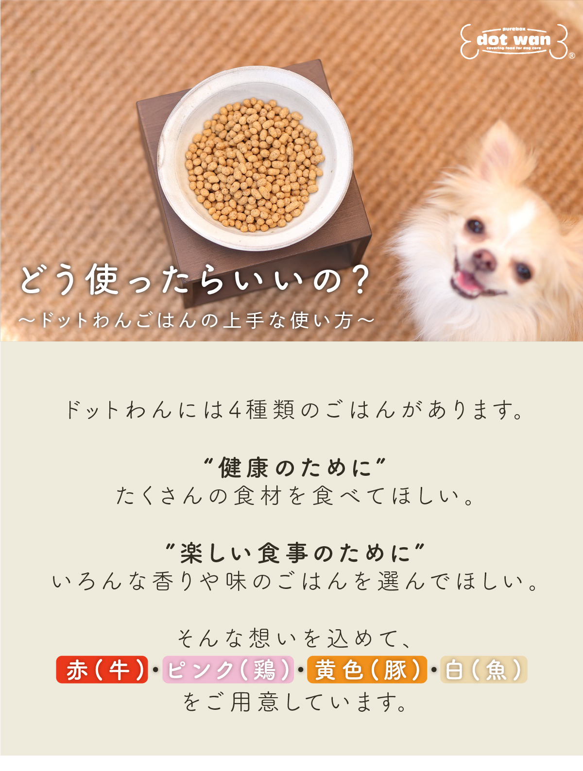 どう使ったらいいの? 自然食ドッグフード ドットわん