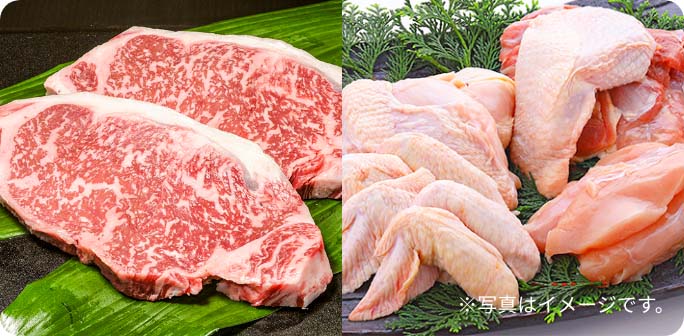 7-8月期プレゼント