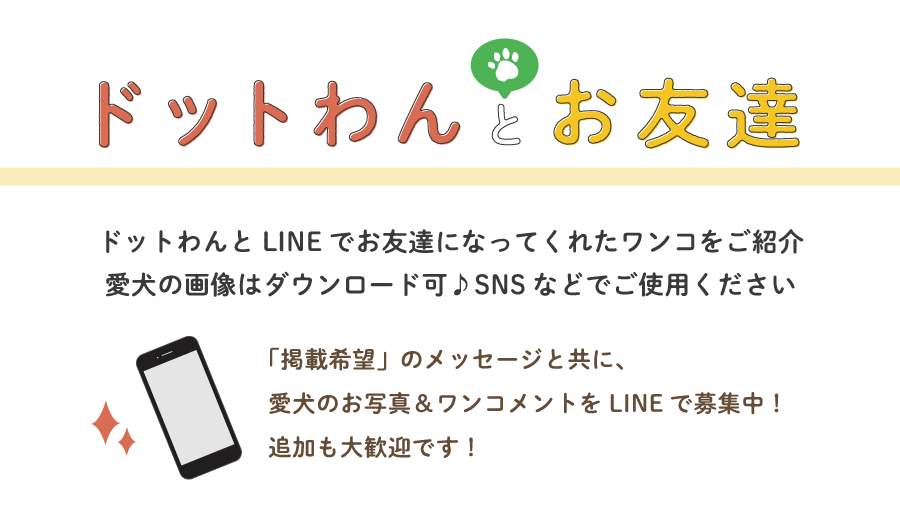 Lineお友達 特設ページ 自然食ドッグフード ドットわん