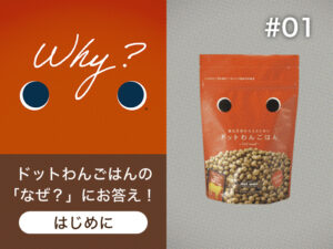 ドットわんごはんの「なぜ？」にお答え！【Whyドットわんごはん】